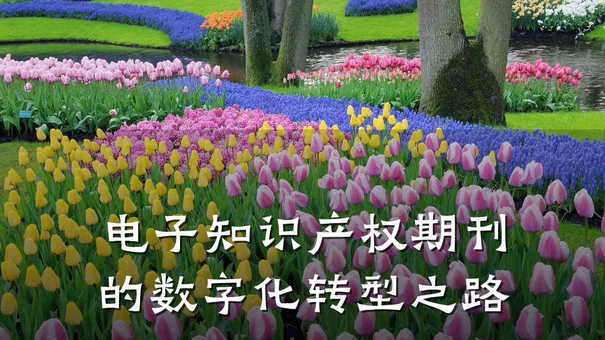 电子知识产权期刊的数字化转型之路