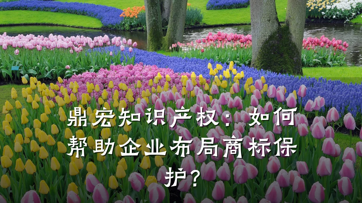 鼎宏知识产权：如何帮助企业布局商标保护？