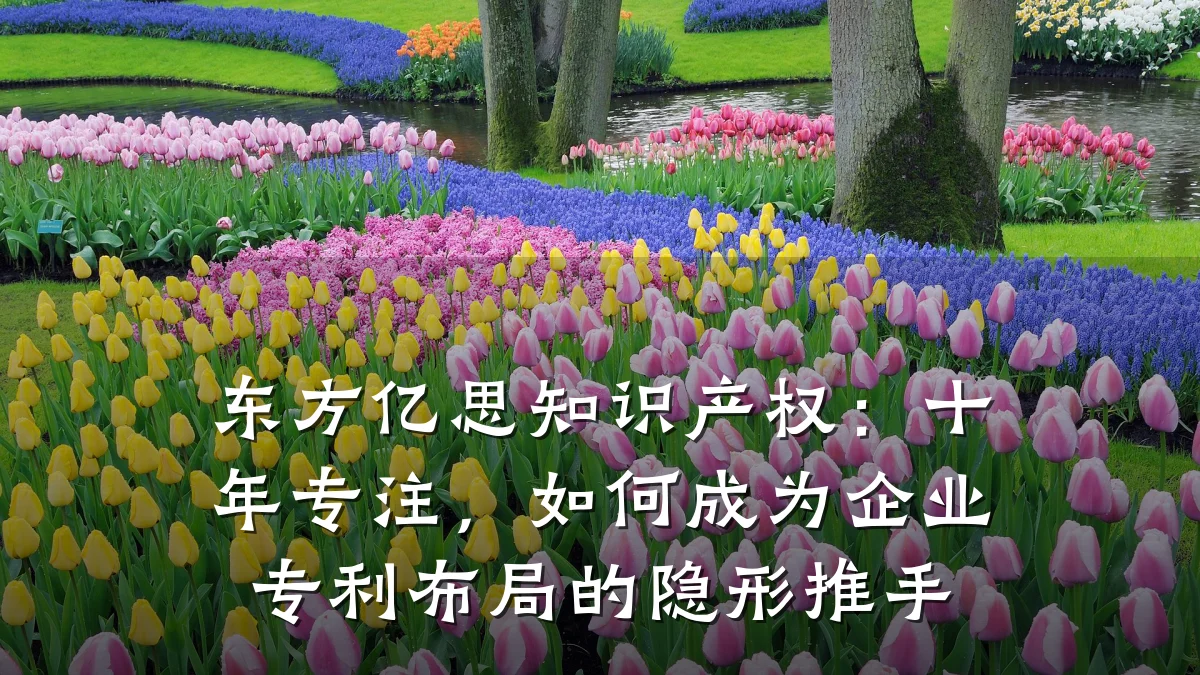 东方亿思知识产权：十年专注，如何成为企业专利布局的隐形推手