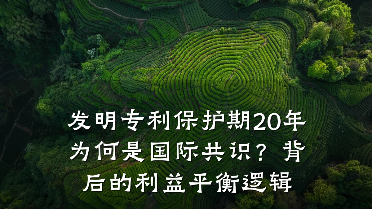 发明专利保护期20年为何是国际共识？背后的利益平衡逻辑