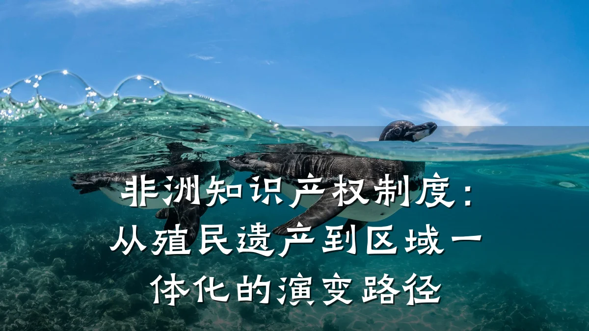 非洲知识产权制度：从殖民遗产到区域一体化的演变路径
