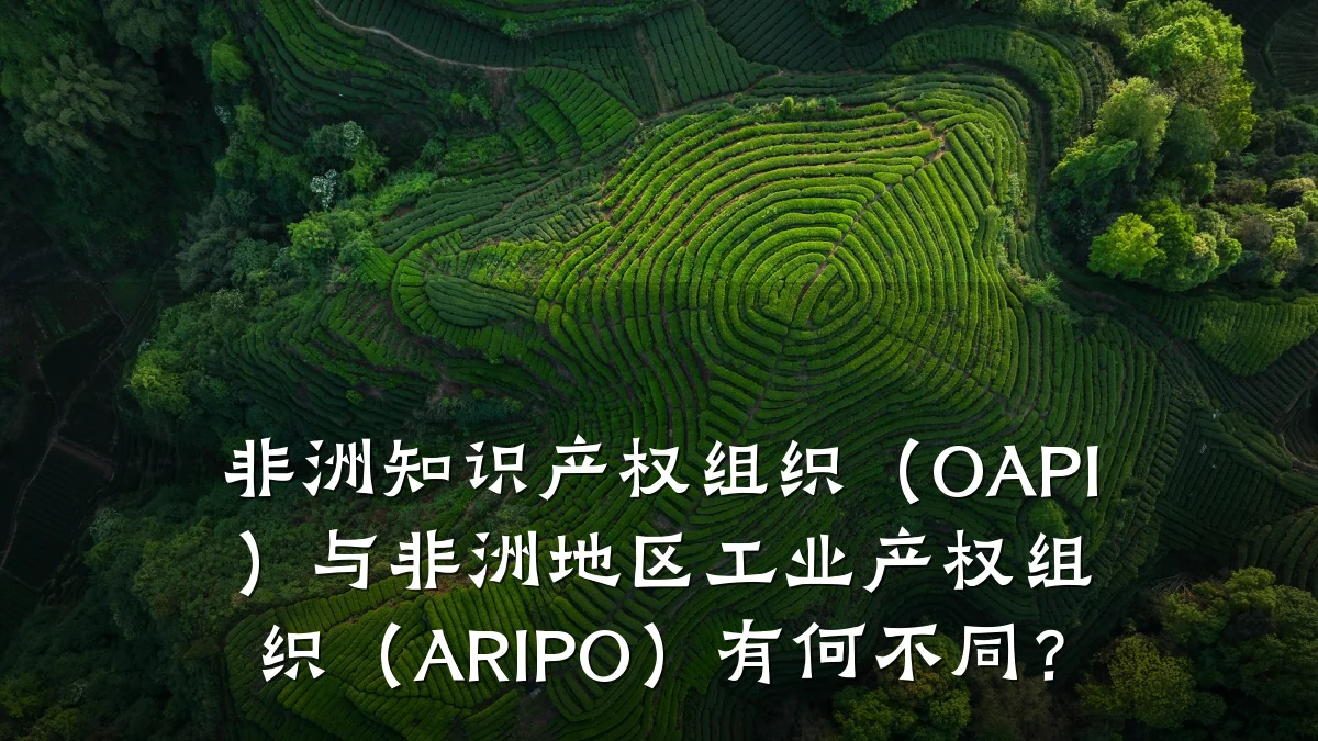 非洲知识产权组织（OAPI）与非洲地区工业产权组织（ARIPO）有何不同？