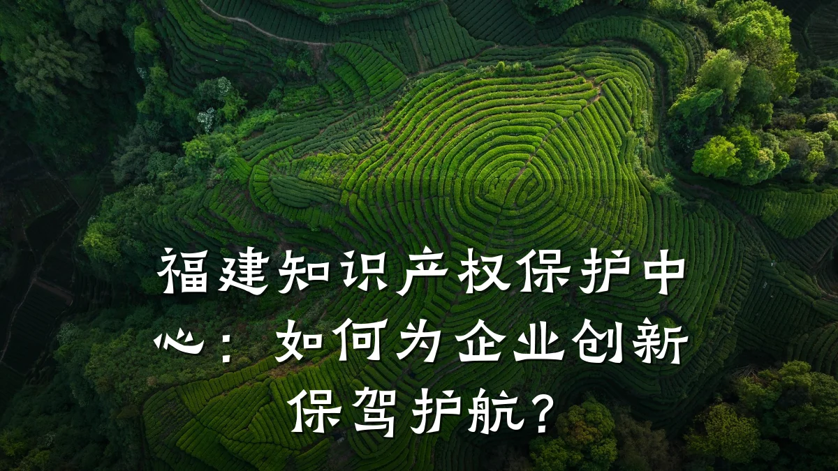 福建知识产权保护中心:如何为企业创新保驾护航?