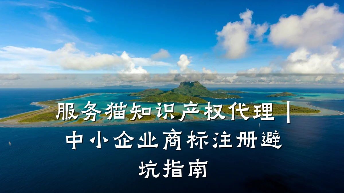 服务猫知识产权代理｜中小企业商标注册避坑指南