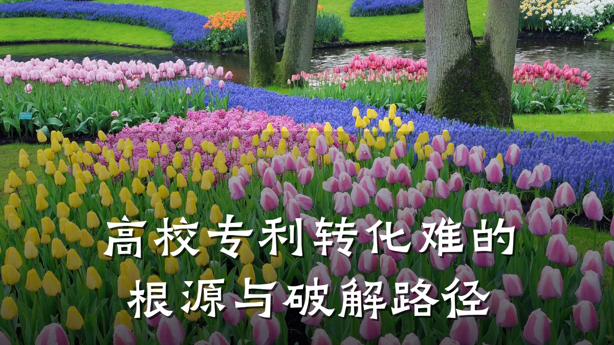 高校专利转化难的根源与破解路径