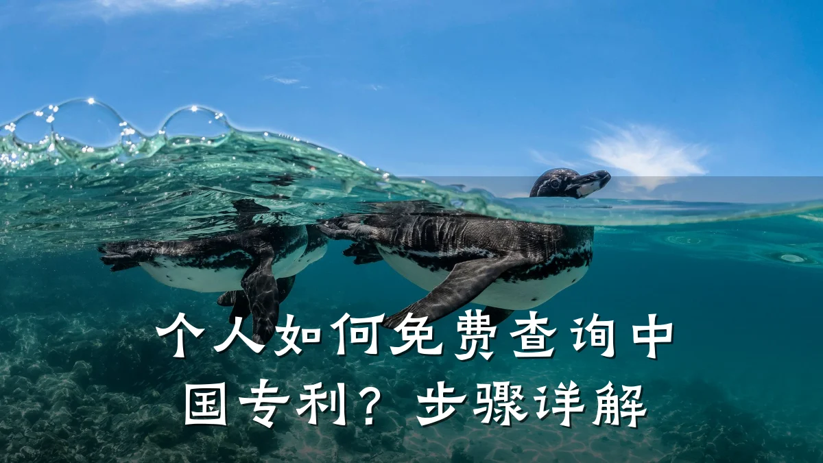 个人如何免费查询中国专利?步骤详解