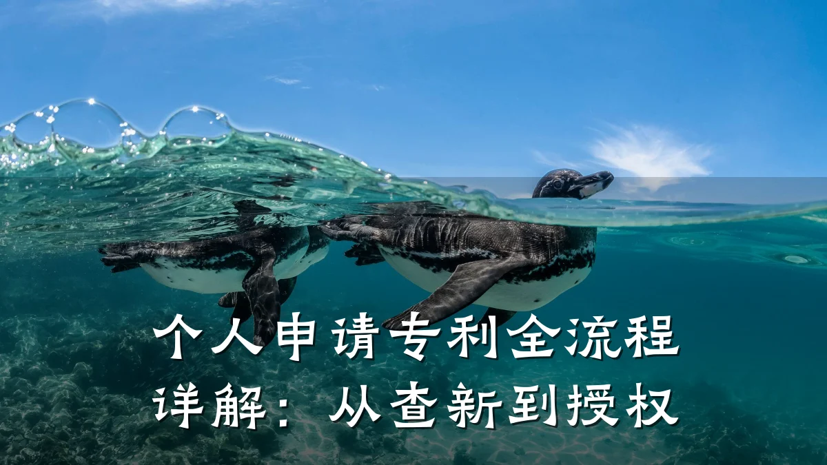 个人申请专利全流程详解：从查新到授权