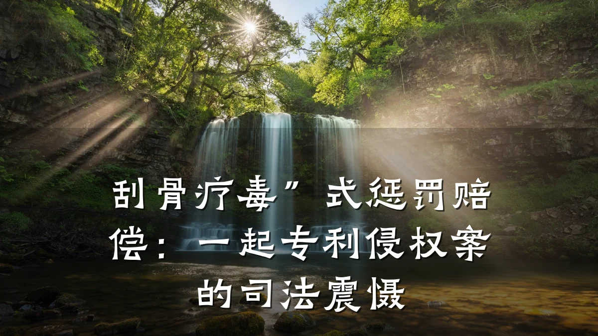 刮骨疗毒”式惩罚赔偿：一起专利侵权案的司法震慑