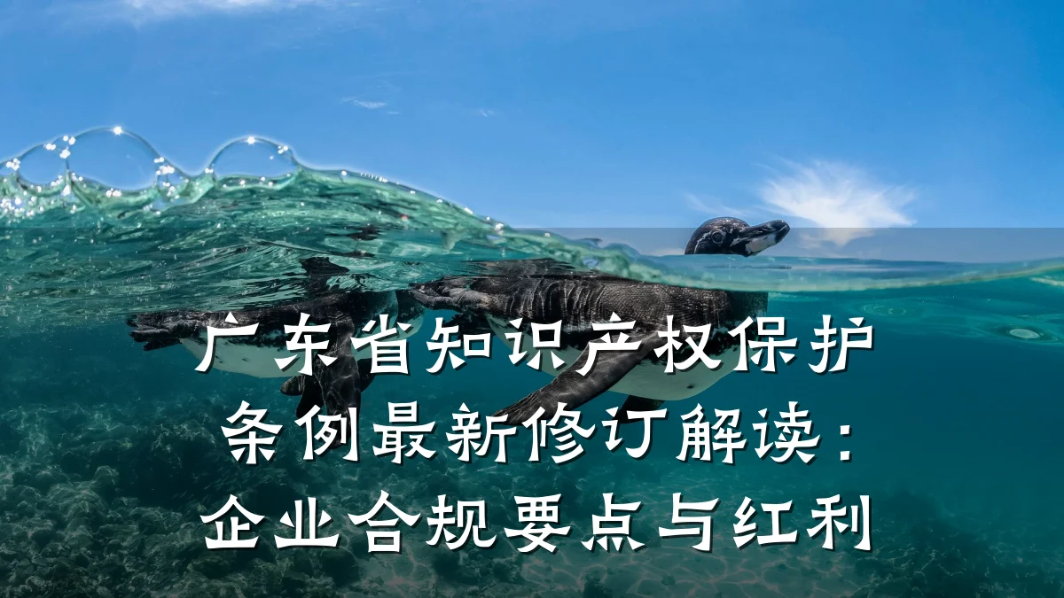 广东省知识产权保护条例最新修订解读：企业合规要点与红利