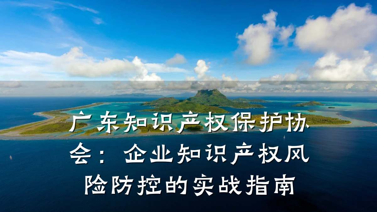 广东知识产权保护协会：企业知识产权风险防控的实战指南