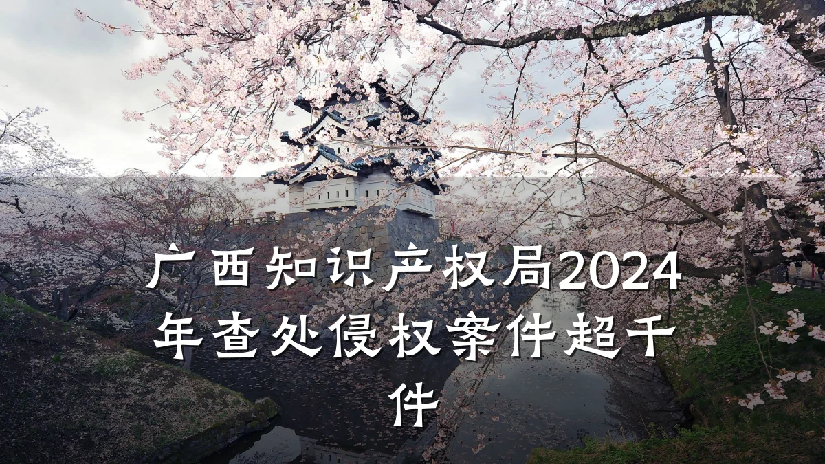广西知识产权局2024年查处侵权案件超千件
