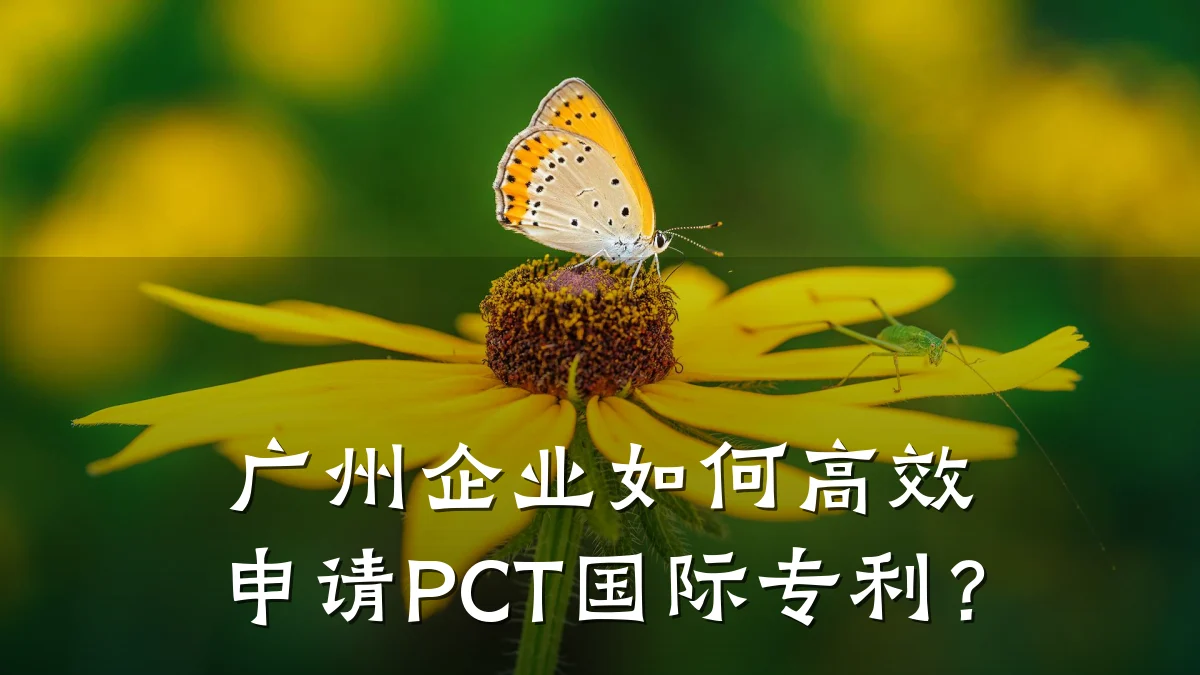 广州企业如何高效申请PCT国际专利?