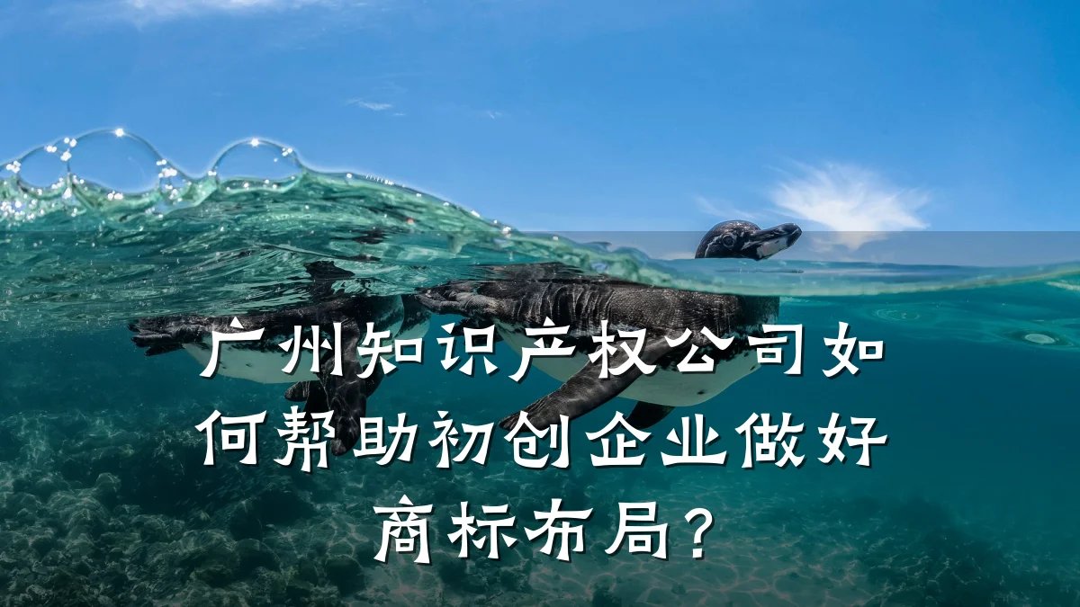 广州知识产权公司如何帮助初创企业做好商标布局？