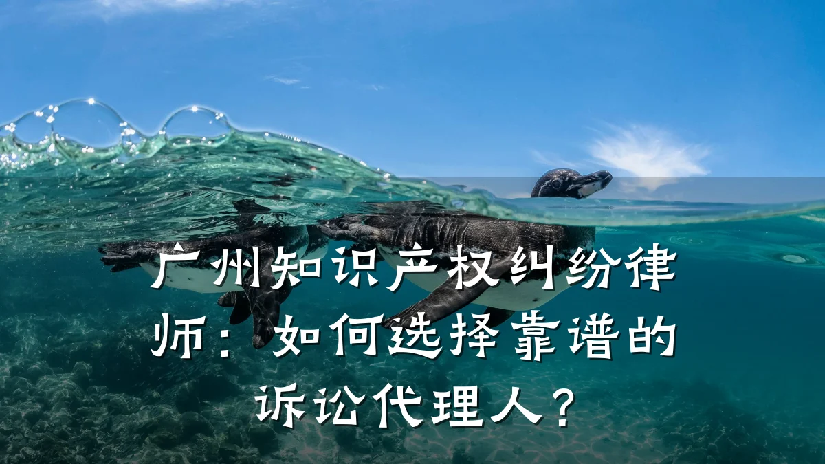 广州知识产权纠纷律师：如何选择靠谱的诉讼代理人？