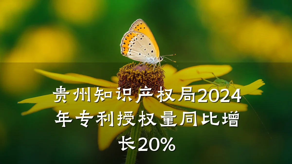 贵州知识产权局2024年专利授权量同比增长20%