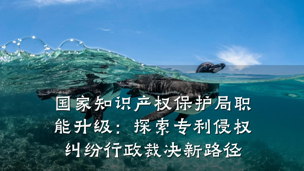 国家知识产权保护局职能升级：探索专利侵权纠纷行政裁决新路径