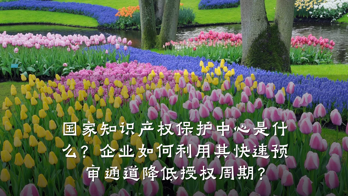 国家知识产权保护中心是什么？企业如何利用其快速预审通道降低授权周期？