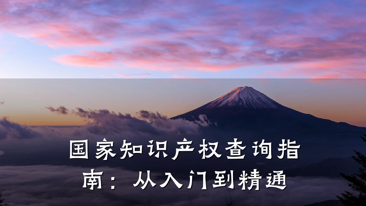 国家知识产权查询指南：从入门到精通