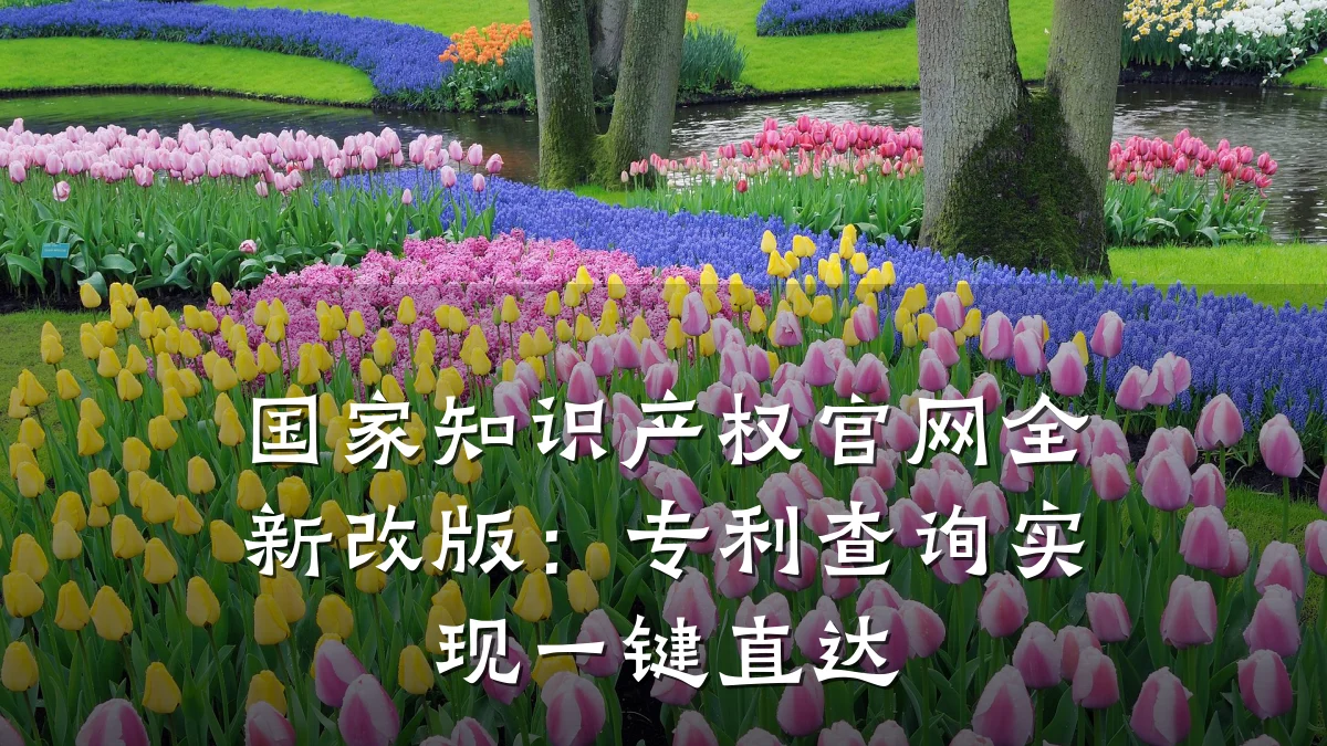 国家知识产权官网全新改版：专利查询实现一键直达
