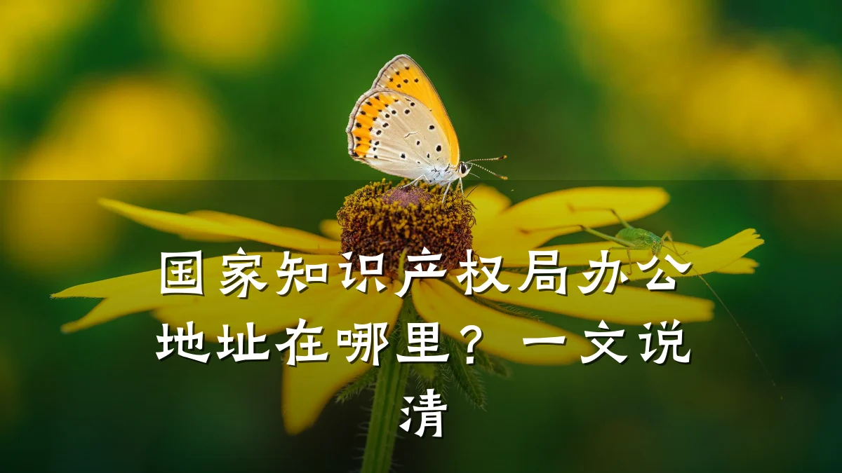 国家知识产权局办公地址在哪里？一文说清