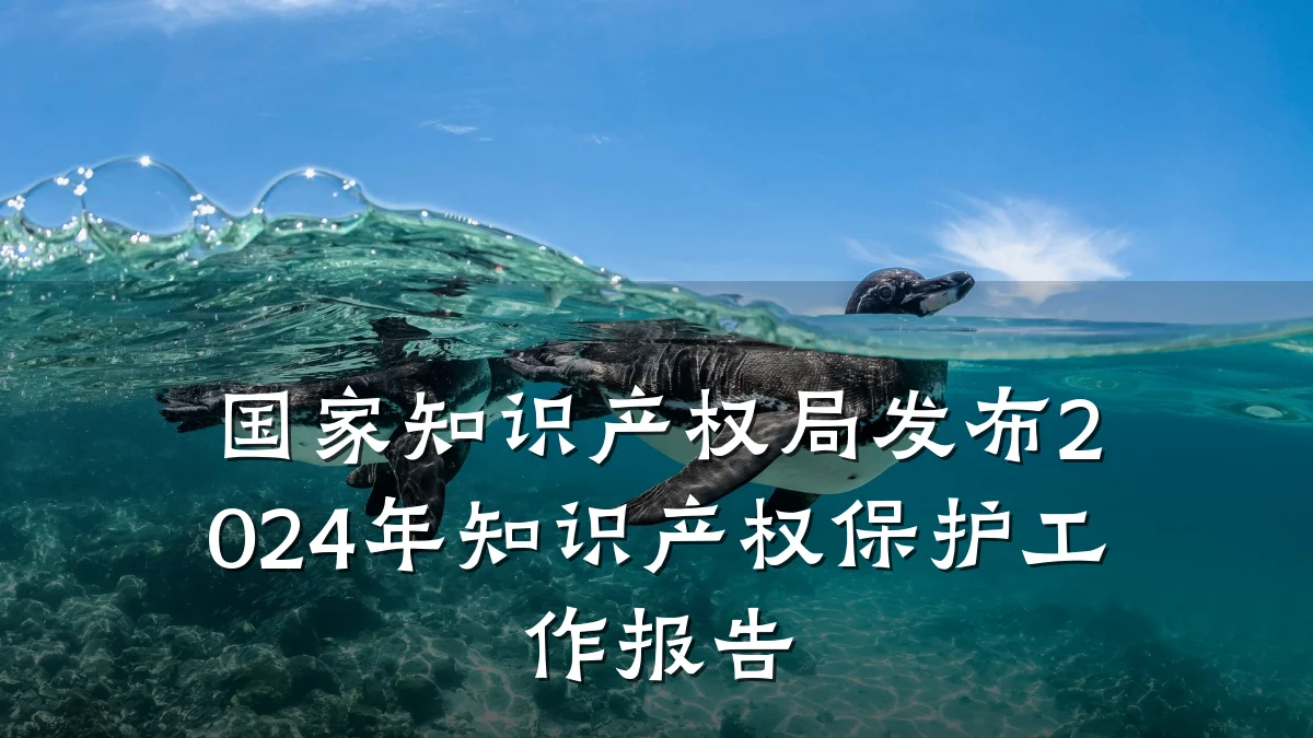 国家知识产权局发布2024年知识产权保护工作报告