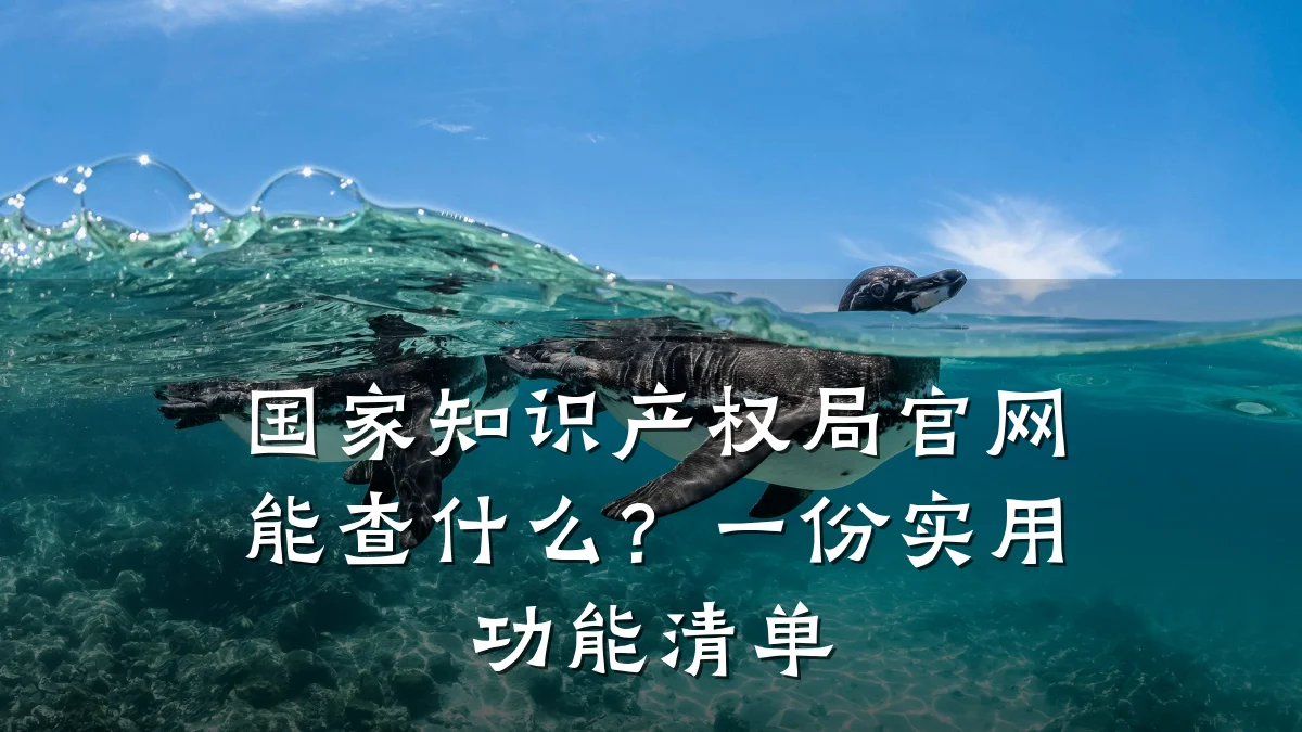 国家知识产权局官网能查什么？一份实用功能清单