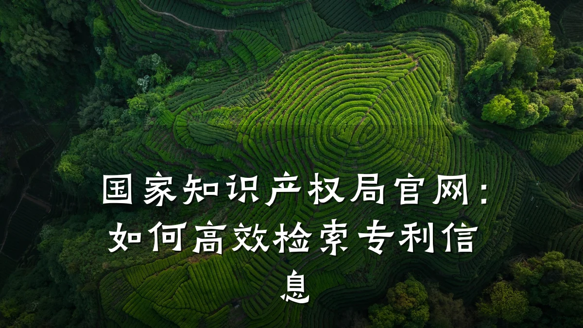 国家知识产权局官网：如何高效检索专利信息