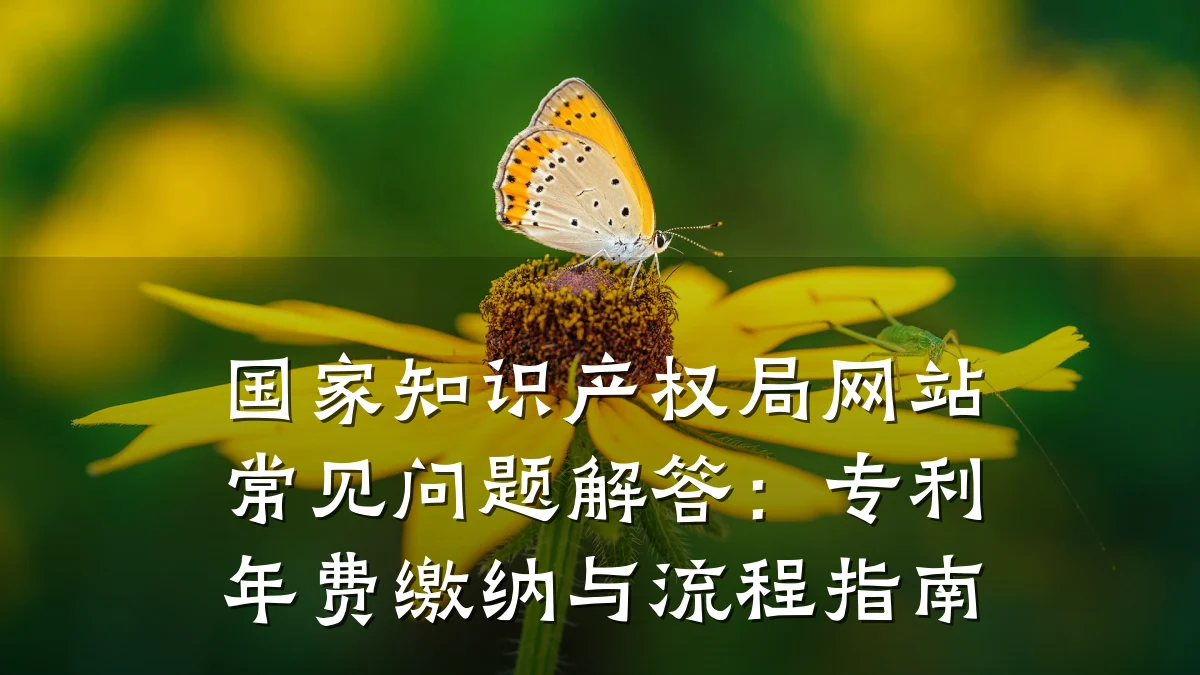 国家知识产权局网站常见问题解答：专利年费缴纳与流程指南
