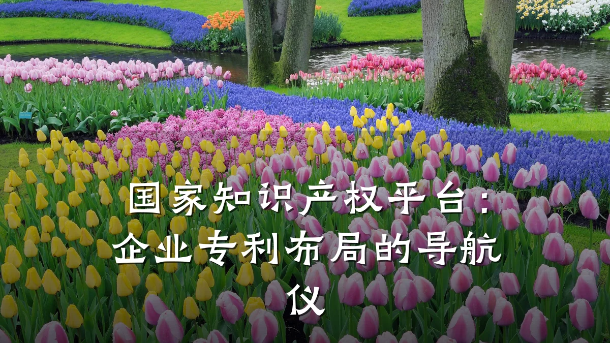国家知识产权平台：企业专利布局的导航仪