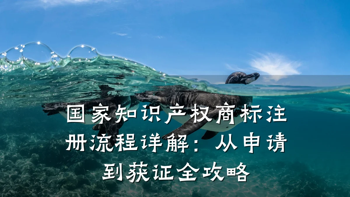 国家知识产权商标注册流程详解：从申请到获证全攻略