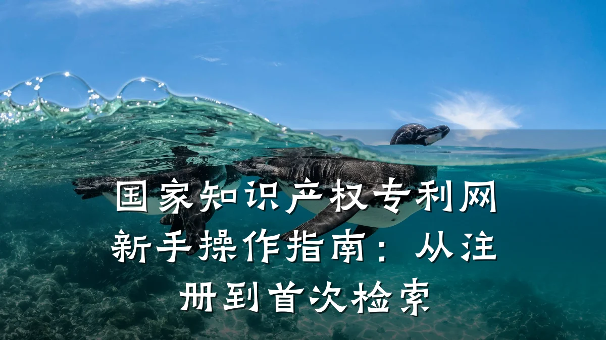 国家知识产权专利网新手操作指南：从注册到首次检索