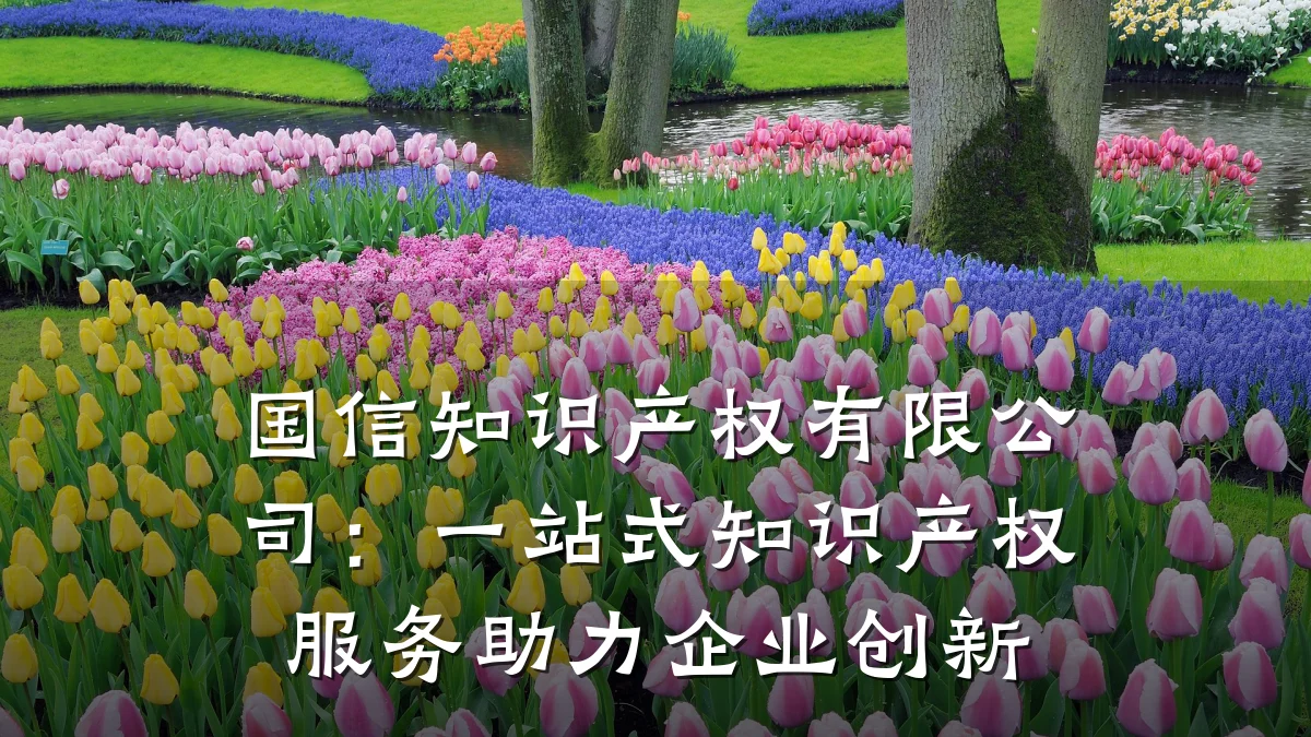 国信知识产权有限公司：一站式知识产权服务助力企业创新
