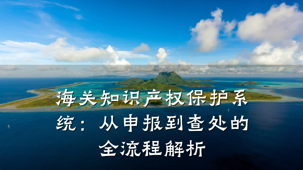 海关知识产权保护系统：从申报到查处的全流程解析