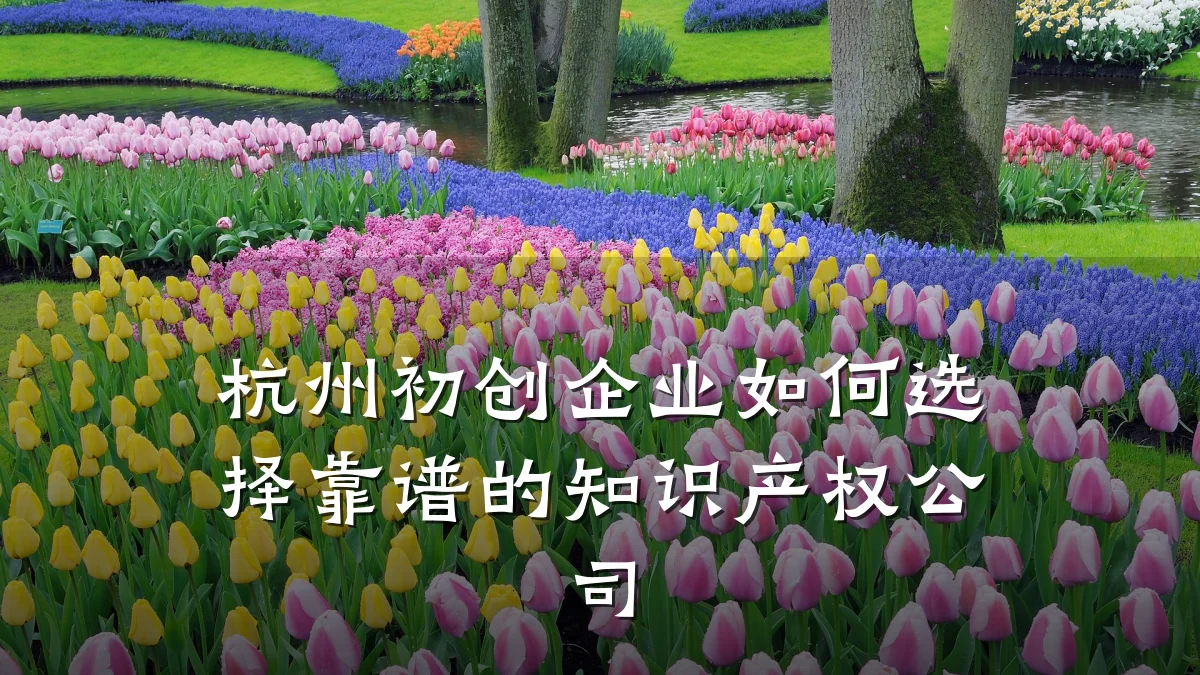 杭州初创企业如何选择靠谱的知识产权公司