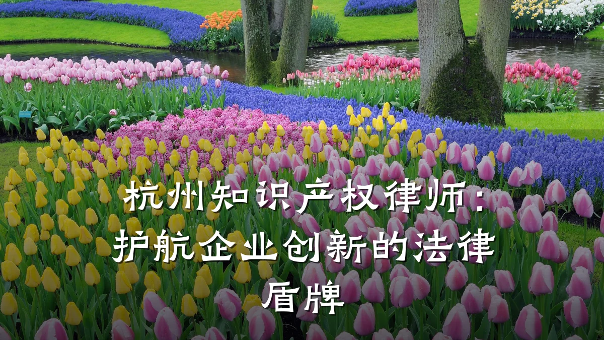 杭州知识产权律师：护航企业创新的法律盾牌