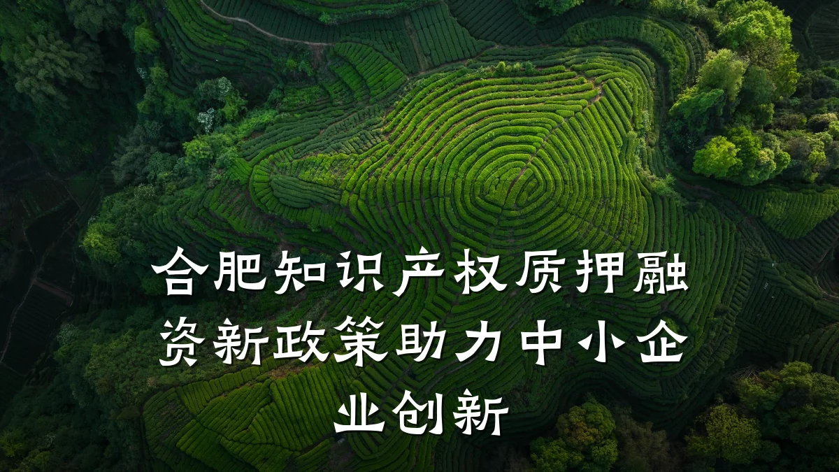 合肥知识产权质押融资新政策助力中小企业创新