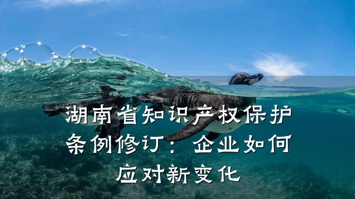 湖南省知识产权保护条例修订:企业如何应对新变化