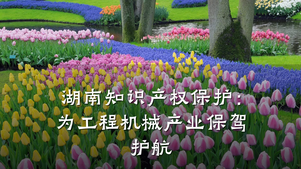 湖南知识产权保护：为工程机械产业保驾护航