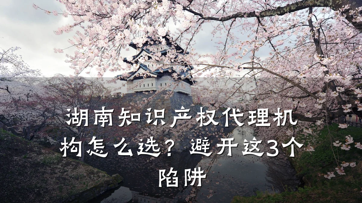 湖南知识产权代理机构怎么选？避开这3个陷阱