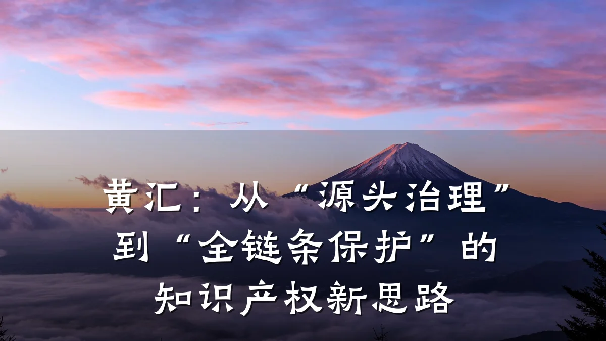 黄汇：从“源头治理”到“全链条保护”的知识产权新思路