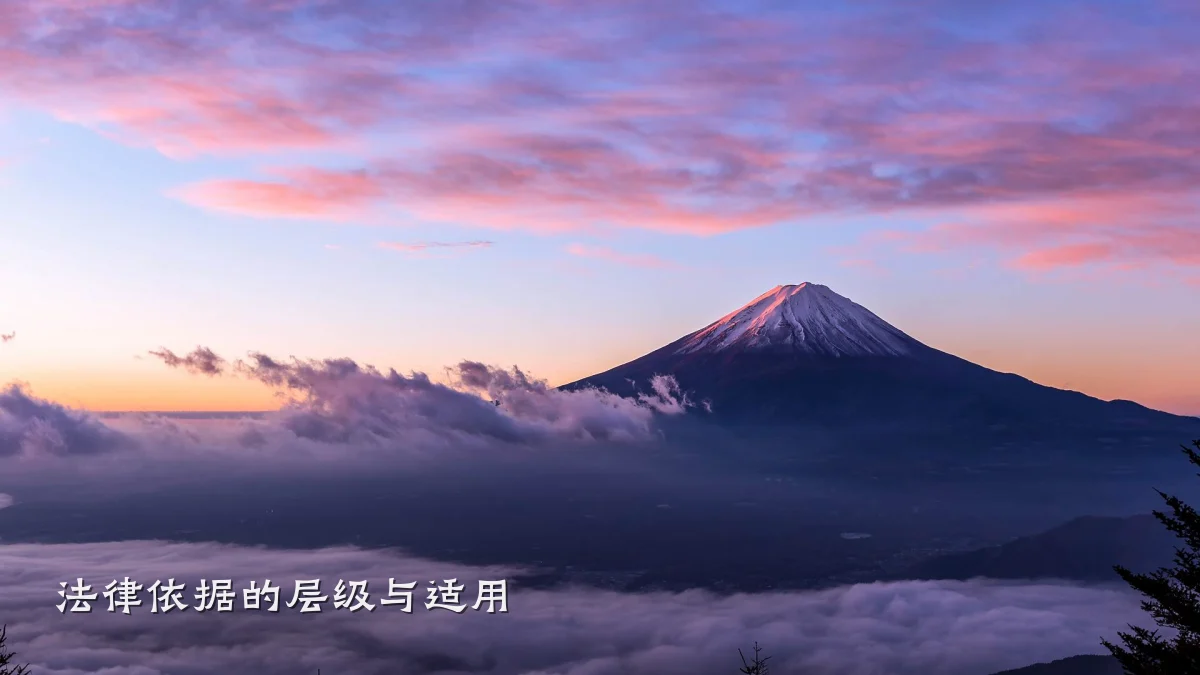 法律依据的层级与适用