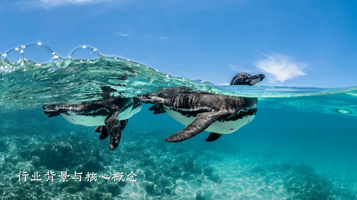 行业背景与核心概念