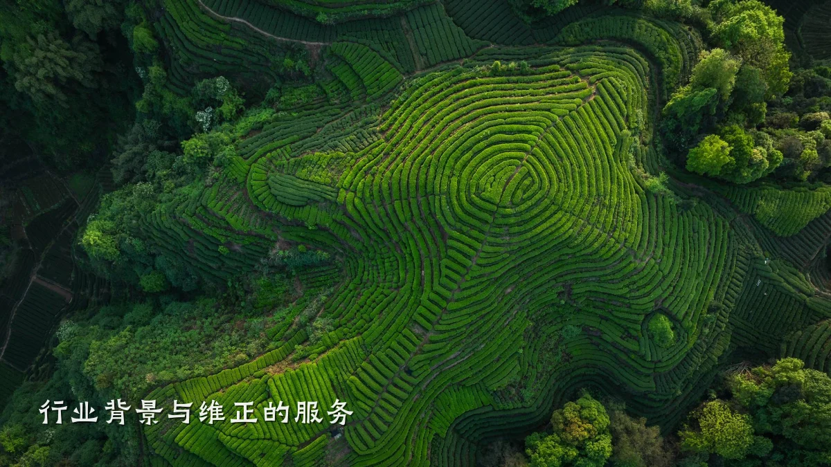行业背景与维正的服务