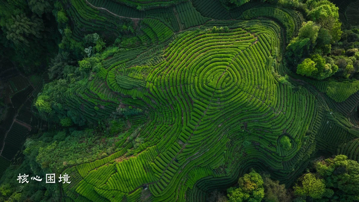 核心困境