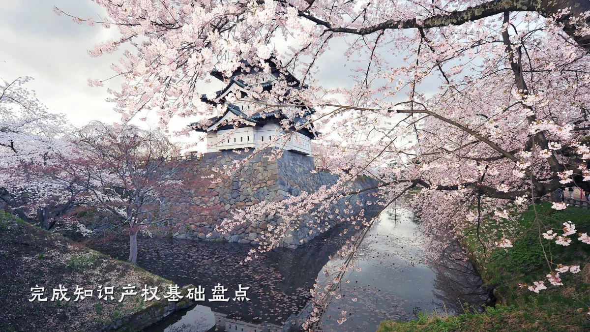 完成知识产权基础盘点