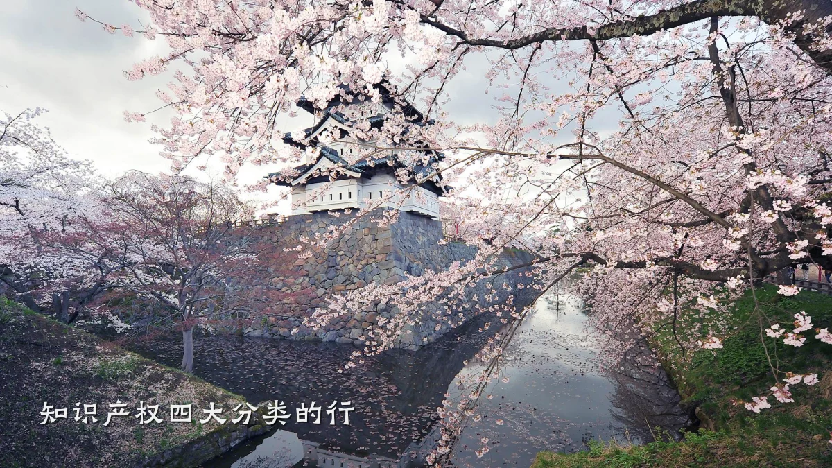 知识产权四大分类的行