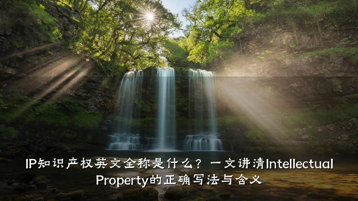 IP知识产权英文全称是什么?一文讲清Intellectual Property的正确写法与含义