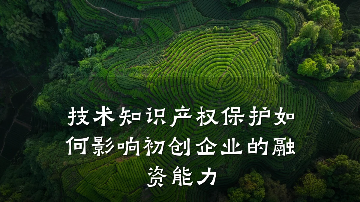 技术知识产权保护如何影响初创企业的融资能力