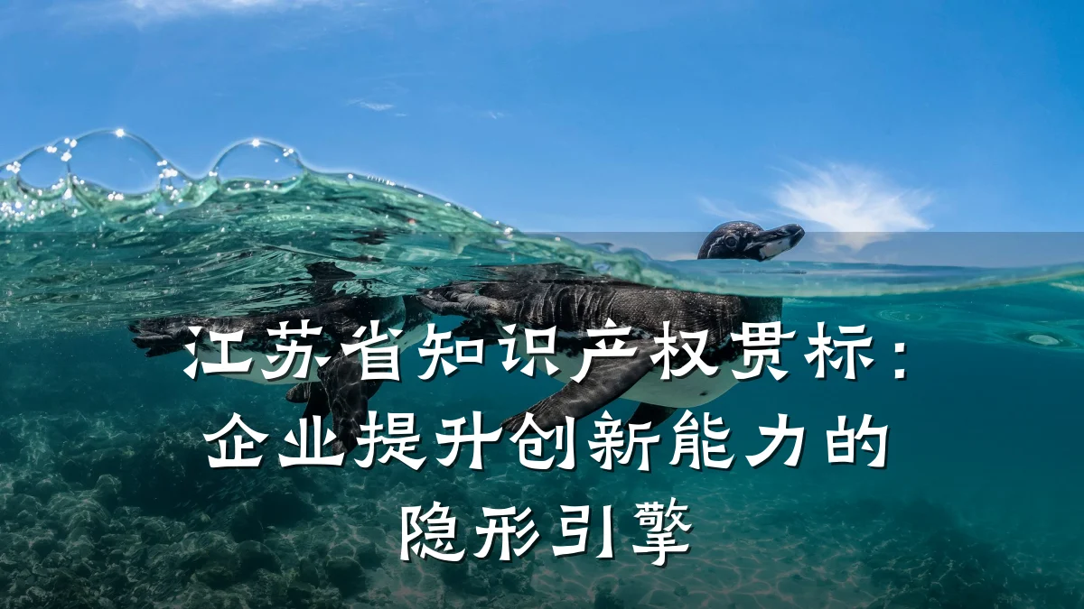 江苏省知识产权贯标:企业提升创新能力的隐形引擎