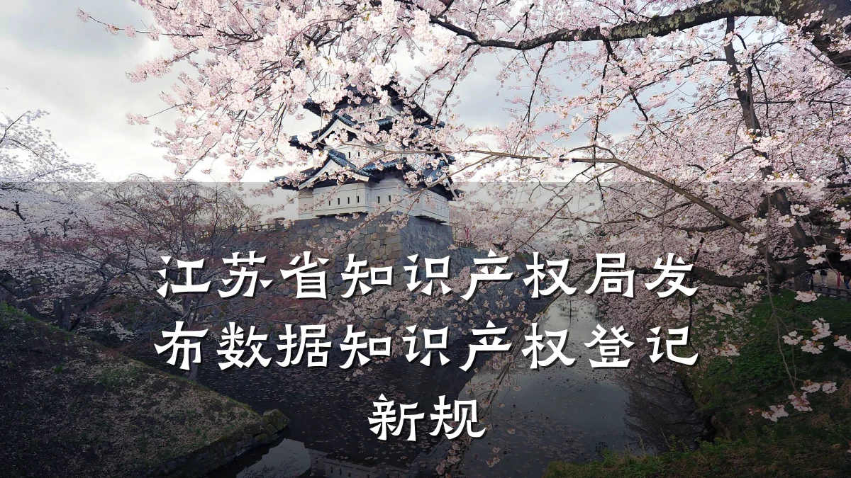 江苏省知识产权局发布数据知识产权登记新规